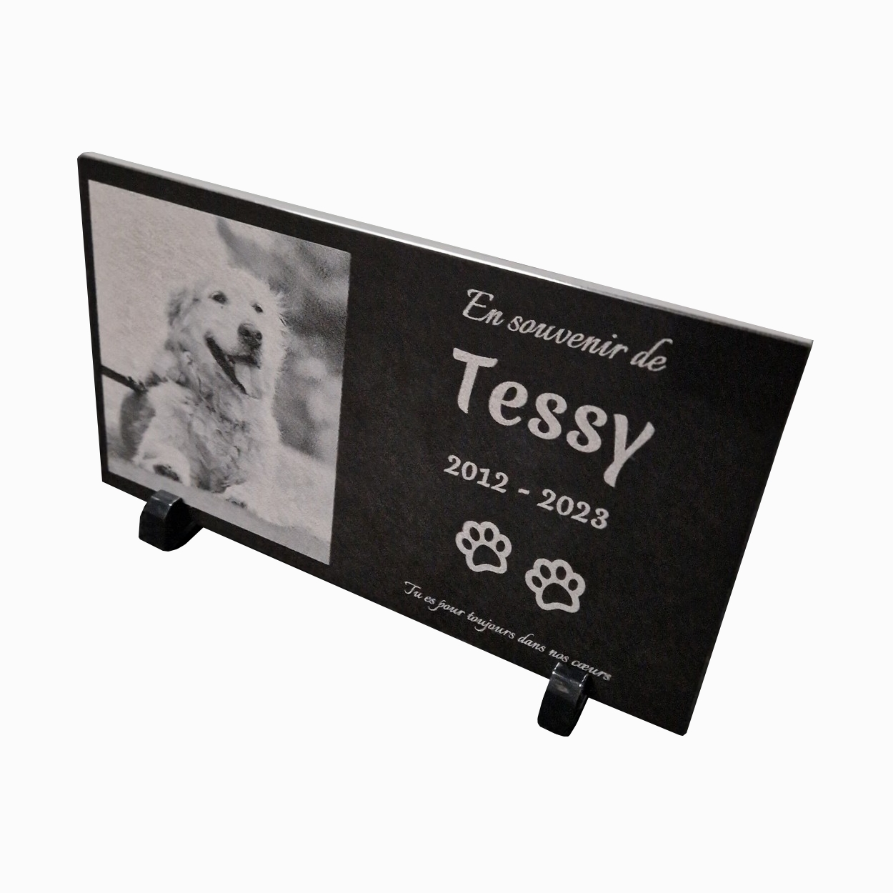 Plaque commémorative XL rectangulaire sur pieds pour animal de compagnie